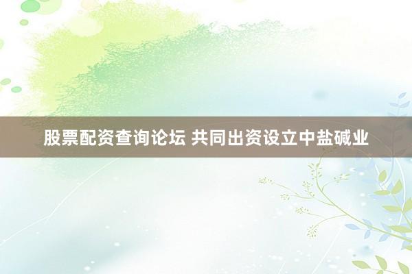 股票配资查询论坛 共同出资设立中盐碱业