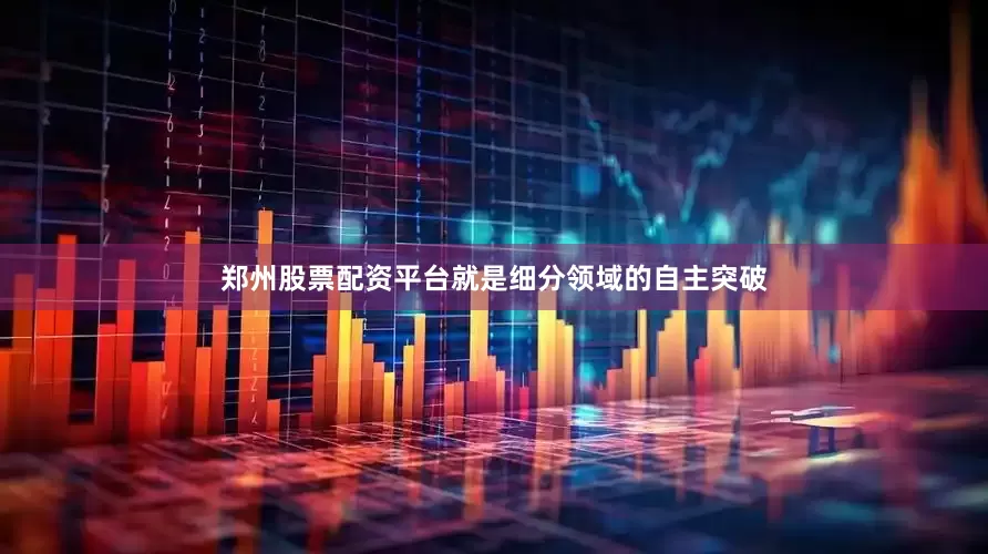 郑州股票配资平台就是细分领域的自主突破