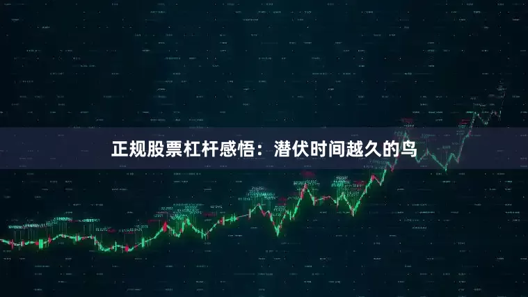 正规股票杠杆感悟：潜伏时间越久的鸟