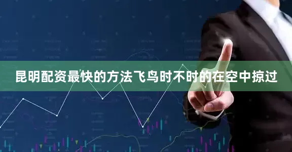 昆明配资最快的方法飞鸟时不时的在空中掠过